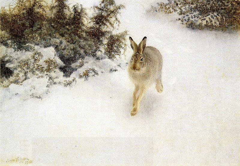 bruno liljefors Winter Hare China oil painting art